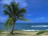 Playa Wilderness           - AGUADILLA